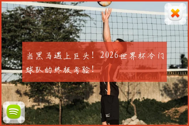 当黑马遇上巨头!2026世界杯冷门球队的终极考验!