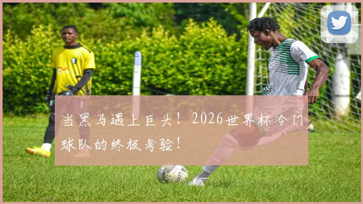 当黑马遇上巨头！2026世界杯冷门球队的终极考验！
