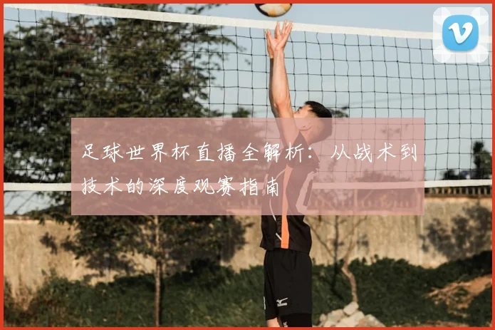 足球世界杯直播全解析：从战术到技术的深度观赛指南